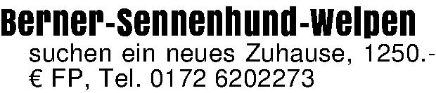 Vorschaubild der Anzeige, (Id: 1958236)