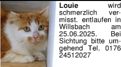 Vorschaubild der Anzeige, (Id: 1960238)