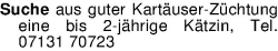 Vorschaubild der Anzeige, (Id: 1960312)