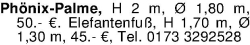 Vorschaubild der Anzeige, (Id: 1971377)