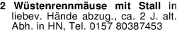 Vorschaubild der Anzeige, (Id: 1973177)
