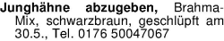 Vorschaubild der Anzeige, (Id: 1976220)