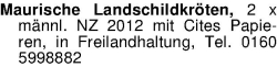 Vorschaubild der Anzeige, (Id: 1976298)