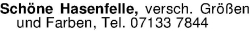 Vorschaubild der Anzeige, (Id: 1985661)
