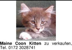 Vorschaubild der Anzeige, (Id: 1993697)