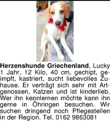 Vorschaubild der Anzeige, (Id: 1995990)