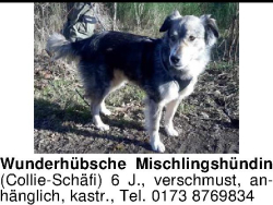 Vorschaubild der Anzeige, (Id: 2016754)