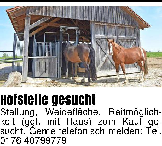 Vorschaubild der Anzeige, (Id: 2017736)