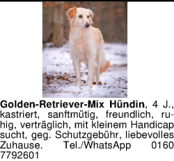 Vorschaubild der Anzeige, (Id: 2022426)