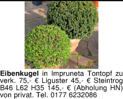 Vorschaubild der Anzeige, (Id: 2026354)