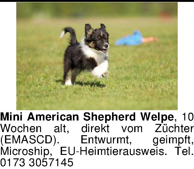 Vorschaubild der Anzeige, (Id: 2036429)