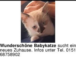Vorschaubild der Anzeige, (Id: 2037836)