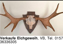 Vorschaubild der Anzeige, (Id: 2043697)