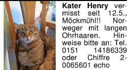 Vorschaubild der Anzeige, (Id: 2046972)