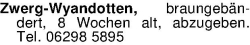 Vorschaubild der Anzeige, (Id: 2046988)