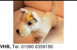 Vorschaubild der Anzeige, (Id: 2047035)