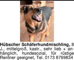 Vorschaubild der Anzeige, (Id: 2049655)