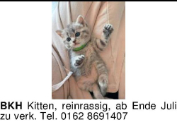 Vorschaubild der Anzeige, (Id: 2054046)