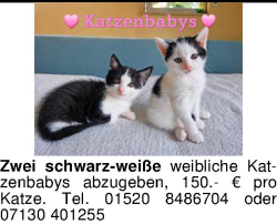 Vorschaubild der Anzeige, (Id: 2051748)