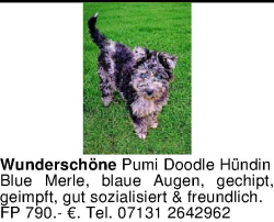 Vorschaubild der Anzeige, (Id: 2054166)