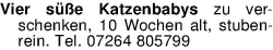 Vorschaubild der Anzeige, (Id: 2055966)