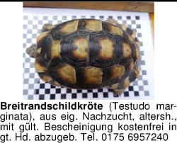 Vorschaubild der Anzeige, (Id: 2056066)