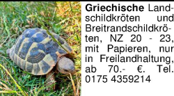 Vorschaubild der Anzeige, (Id: 2057601)