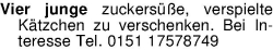 Vorschaubild der Anzeige, (Id: 2059350)