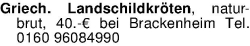 Vorschaubild der Anzeige, (Id: 2059356)