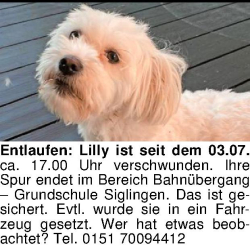 Vorschaubild der Anzeige, (Id: 2059387)