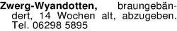 Vorschaubild der Anzeige, (Id: 2059418)