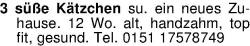 Vorschaubild der Anzeige, (Id: 2061416)