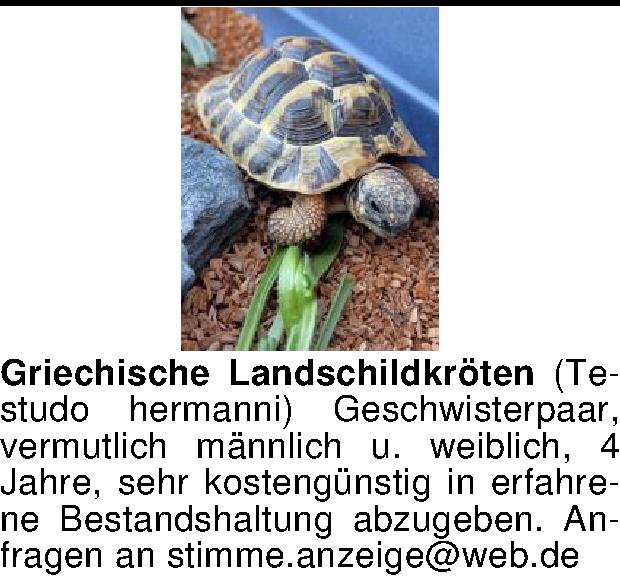 Vorschaubild der Anzeige, (Id: 2060273)