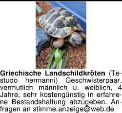 Vorschaubild der Anzeige, (Id: 2060273)