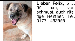 Vorschaubild der Anzeige, (Id: 2061495)