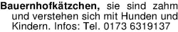 Vorschaubild der Anzeige, (Id: 2062975)