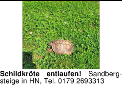 Vorschaubild der Anzeige, (Id: 2064029)