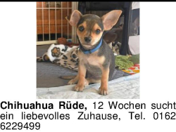 Vorschaubild der Anzeige, (Id: 2069411)