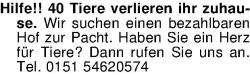 Vorschaubild der Anzeige, (Id: 2069435)