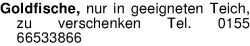 Vorschaubild der Anzeige, (Id: 2075921)