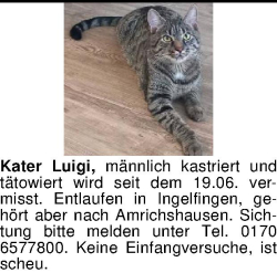 Vorschaubild der Anzeige, (Id: 2082476)