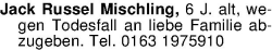 Vorschaubild der Anzeige, (Id: 2082490)